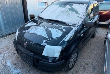 Fiat Panda Gebrauchtwagen