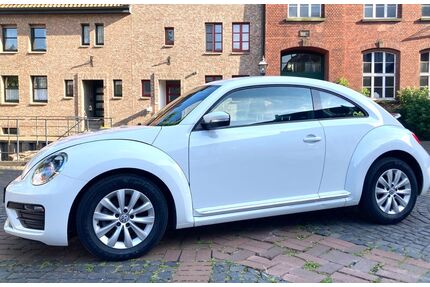 VW Beetle Gebrauchtwagen