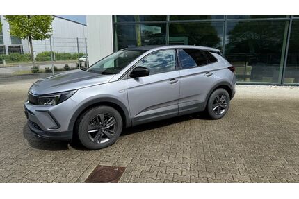 Opel Grandland (X) Gebrauchtwagen