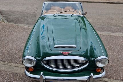 Austin Healey Andere Gebrauchtwagen