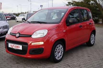 Fiat Panda Gebrauchtwagen