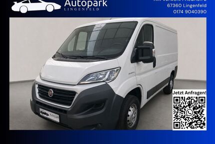 Fiat Ducato Gebrauchtwagen
