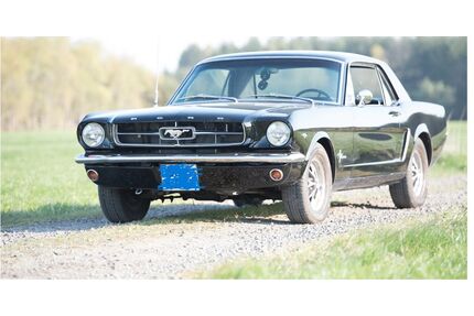 Ford Mustang Gebrauchtwagen