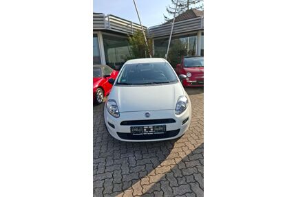 Fiat Punto Gebrauchtwagen