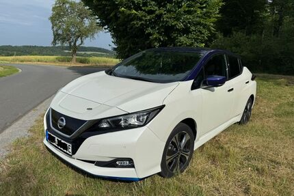 Nissan Leaf Gebrauchtwagen