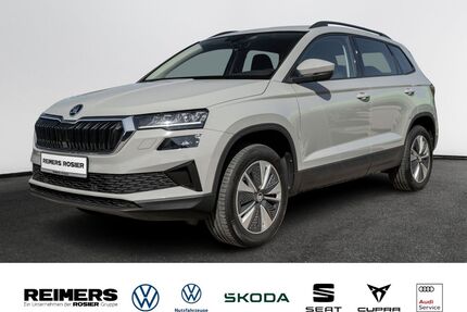 Skoda Karoq Gebrauchtwagen