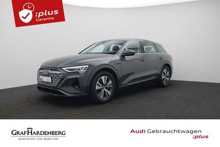 Audi Q8 e-tron Gebrauchtwagen