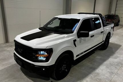Ford F 150 Gebrauchtwagen