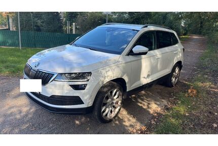Skoda Karoq Gebrauchtwagen