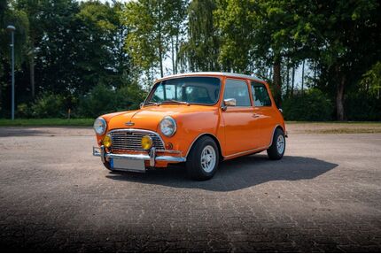 Austin Rover Andere Gebrauchtwagen