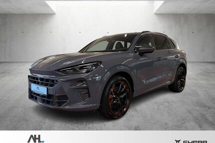 Cupra Terramar Gebrauchtwagen