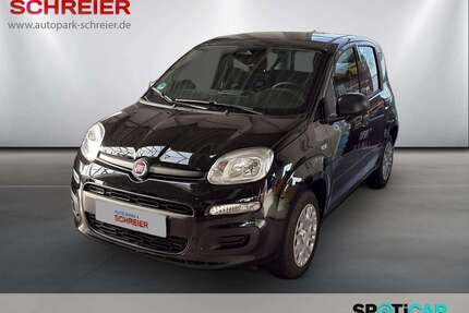 Fiat Panda Gebrauchtwagen
