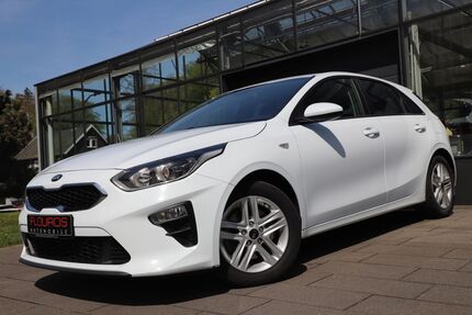 Kia ceed / Ceed Gebrauchtwagen