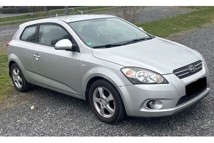 Kia ceed / Ceed Gebrauchtwagen