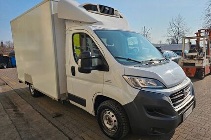 Fiat Ducato Gebrauchtwagen