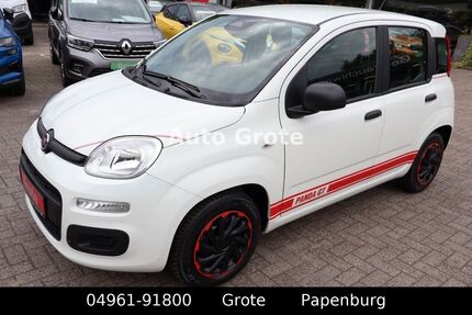 Fiat Panda Gebrauchtwagen