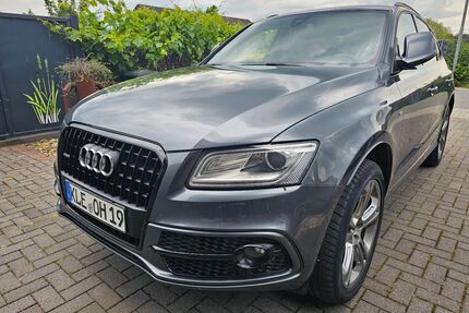 Audi Q5 Gebrauchtwagen