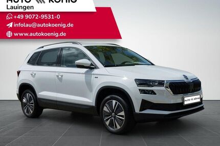 Skoda Karoq Gebrauchtwagen