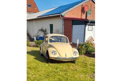 VW Käfer Gebrauchtwagen