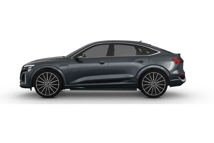 Audi Q8 e-tron Gebrauchtwagen