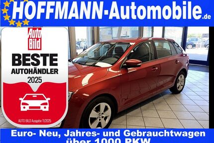 Skoda Rapid Gebrauchtwagen