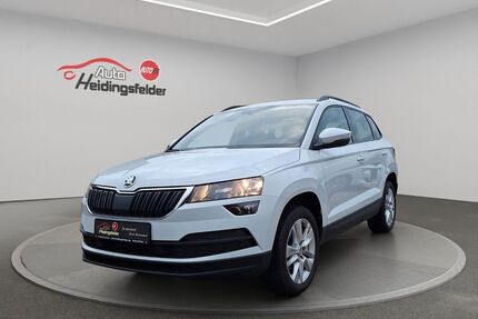 Skoda Karoq Gebrauchtwagen