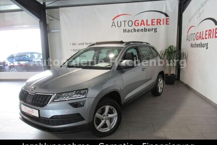 Skoda Karoq Gebrauchtwagen