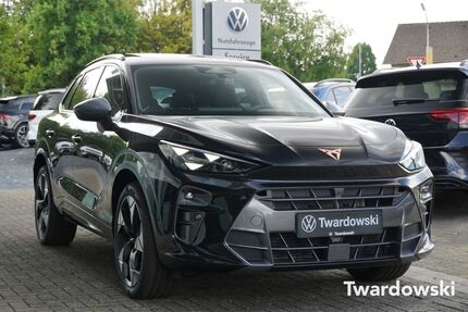 Cupra Terramar Gebrauchtwagen