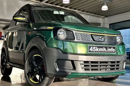 Ligier Myli Gebrauchtwagen