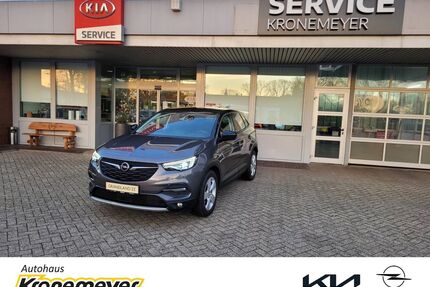Opel Grandland (X) Gebrauchtwagen