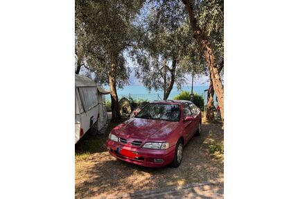 Nissan Primera Gebrauchtwagen