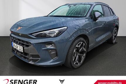 Cupra Terramar Gebrauchtwagen