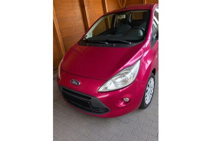 Ford Ka/Ka+ Gebrauchtwagen