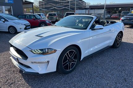 Ford Mustang Gebrauchtwagen