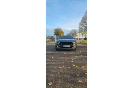 Ford Mustang Gebrauchtwagen