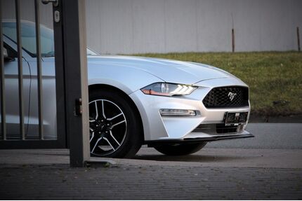 Ford Mustang Gebrauchtwagen