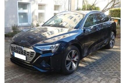 Audi Q8 e-tron Gebrauchtwagen