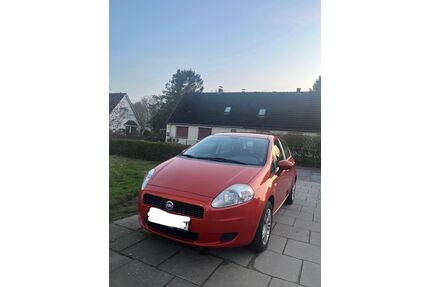 Fiat Punto Gebrauchtwagen