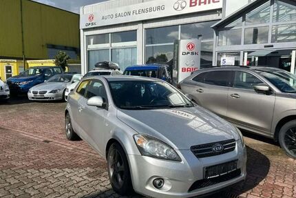 Kia ceed / Ceed Gebrauchtwagen