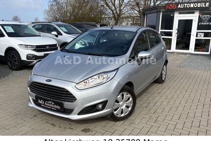 Ford Fiesta Gebrauchtwagen