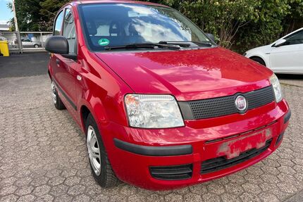 Fiat Panda Gebrauchtwagen