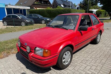 Ford Escort Gebrauchtwagen