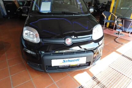Fiat Panda Gebrauchtwagen