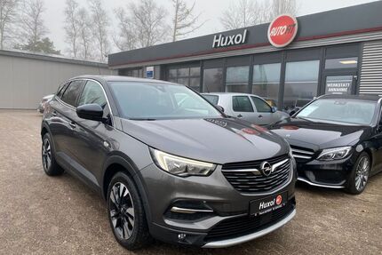 Opel Grandland (X) Gebrauchtwagen