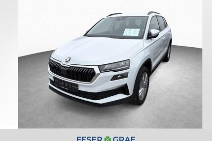 Skoda Karoq Gebrauchtwagen