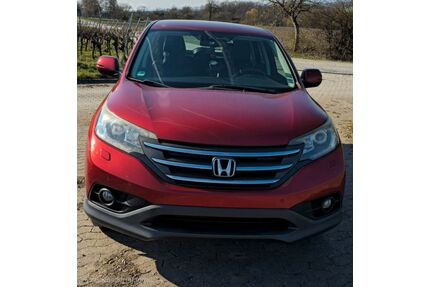 Honda CR-V Gebrauchtwagen