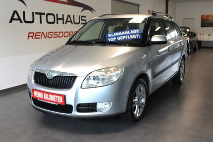 Skoda Fabia Gebrauchtwagen
