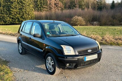 Ford Fusion Gebrauchtwagen