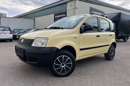 Fiat Panda Gebrauchtwagen