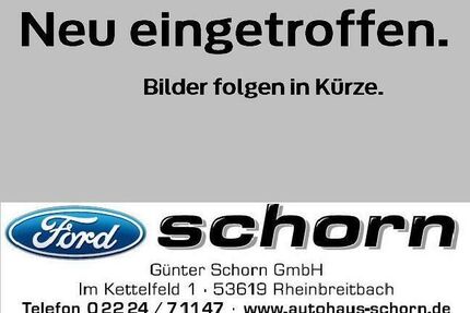 Ford Tourneo Custom Gebrauchtwagen